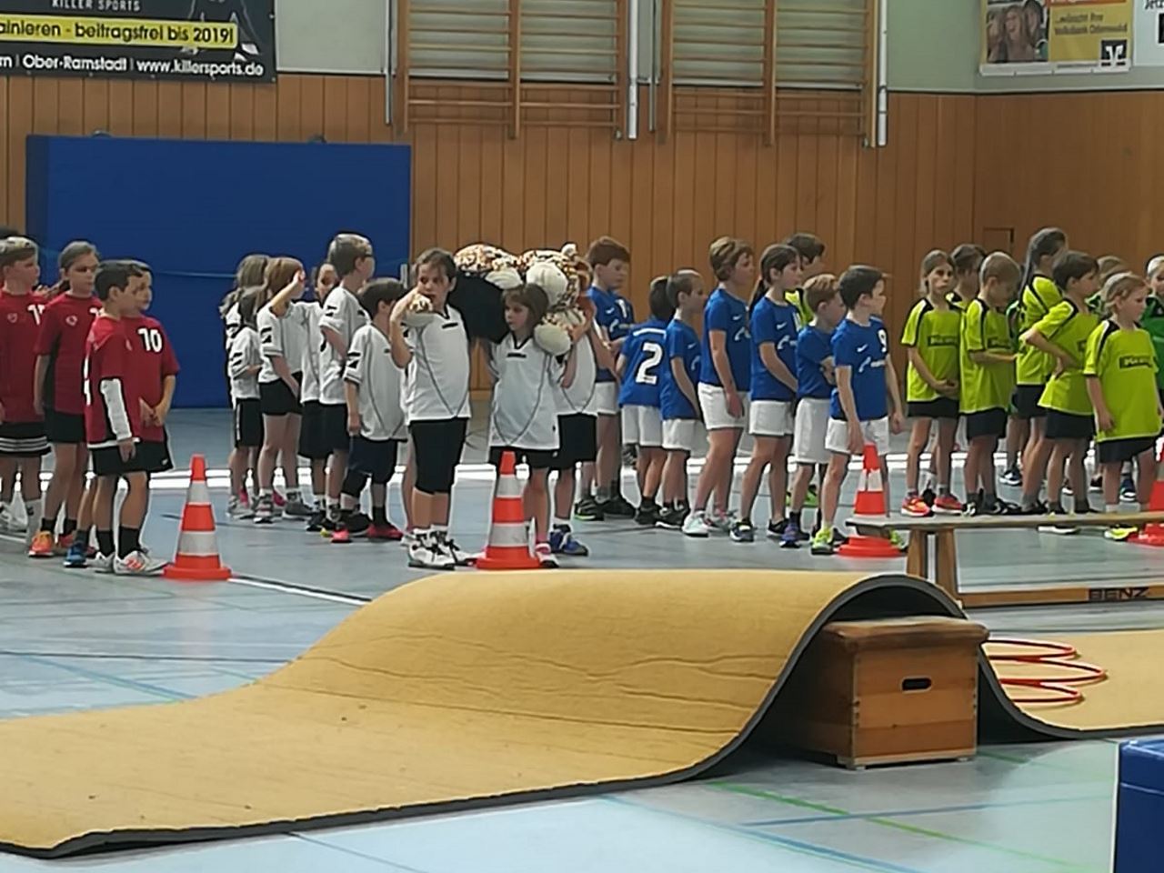 TV Schweinheim - Handball Minis